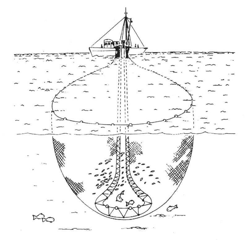 Rigby's Encyclopaedia of the Herring PURSE SEINING - Rigby's Encyclopaedia  of the Herring