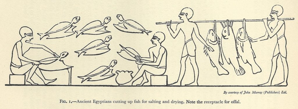 Drawing of ancient Egyptian fish salting