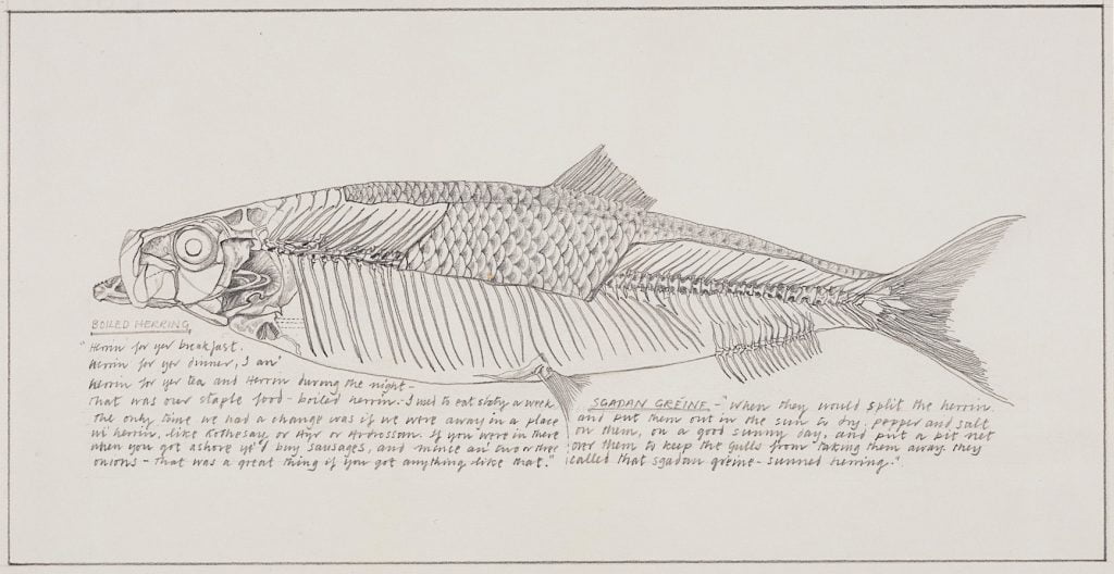 Herring Cooking Herring - image incorporating text